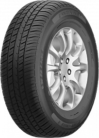 Шина Fortune FSR-301 215/65 R16 102H